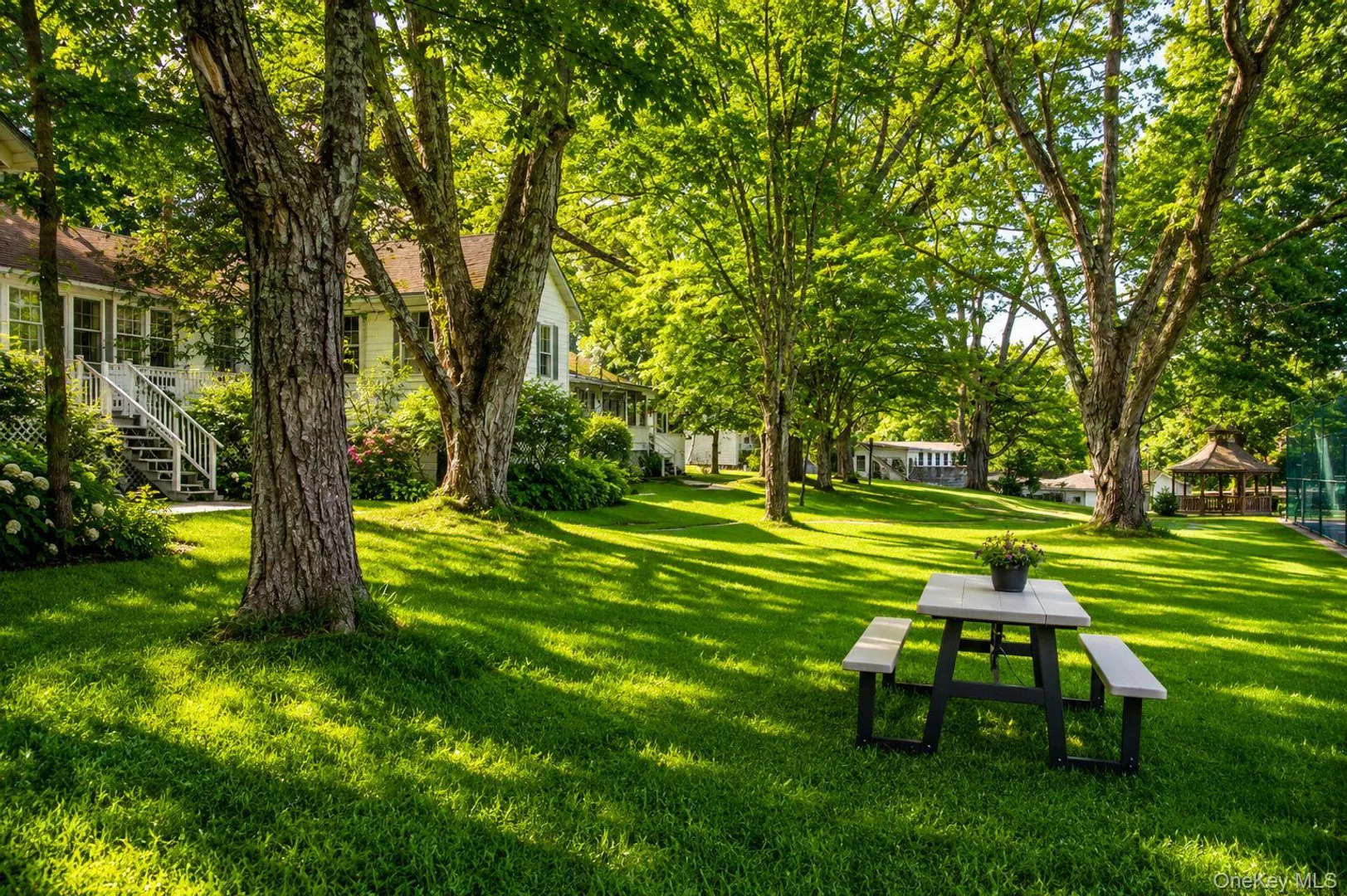 9 Solway Road Photo 14