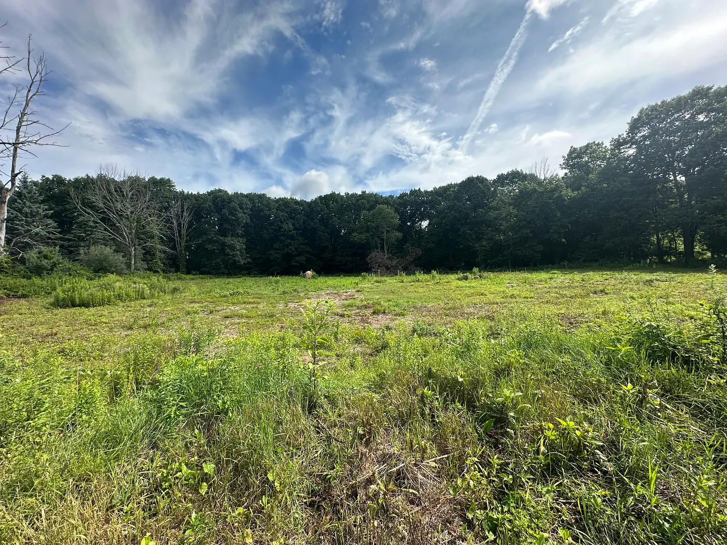 Morris Land Photo 1