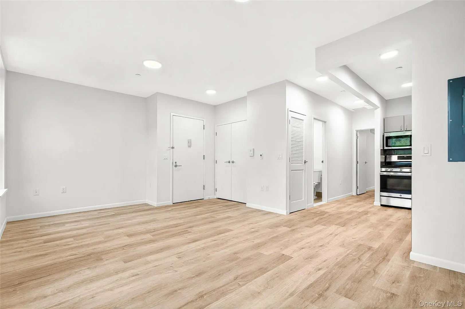 355 Bronx River Avenue  #1B Photo 9