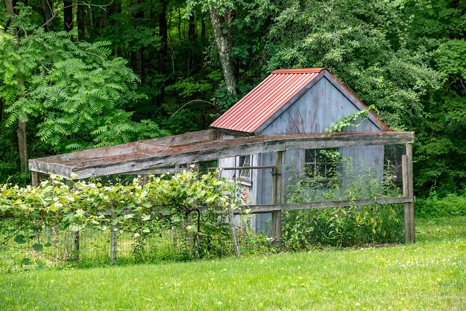 509 Weekeepeemee Road Photo 35