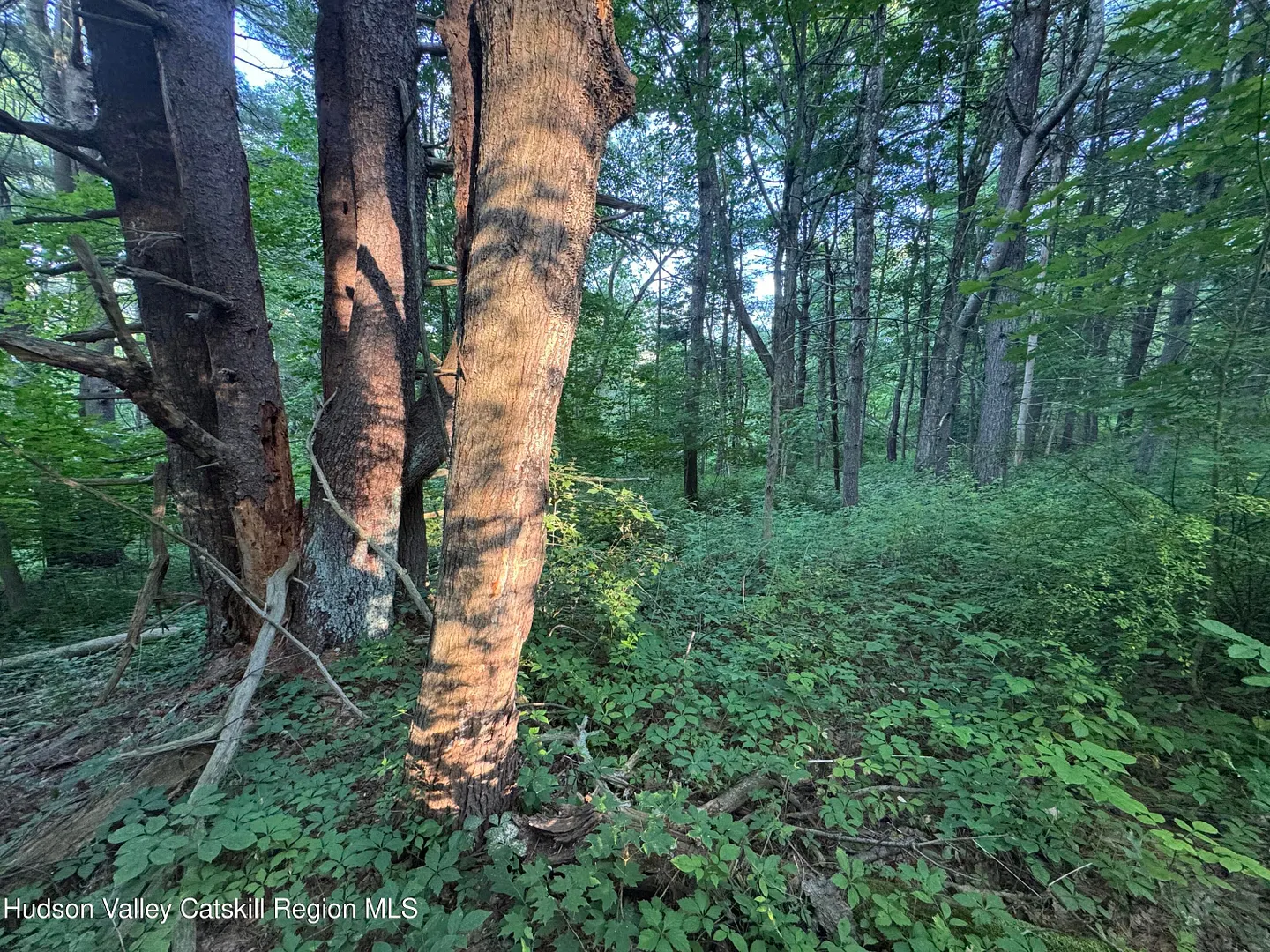 Lot 2 Snydertown Road Photo 16