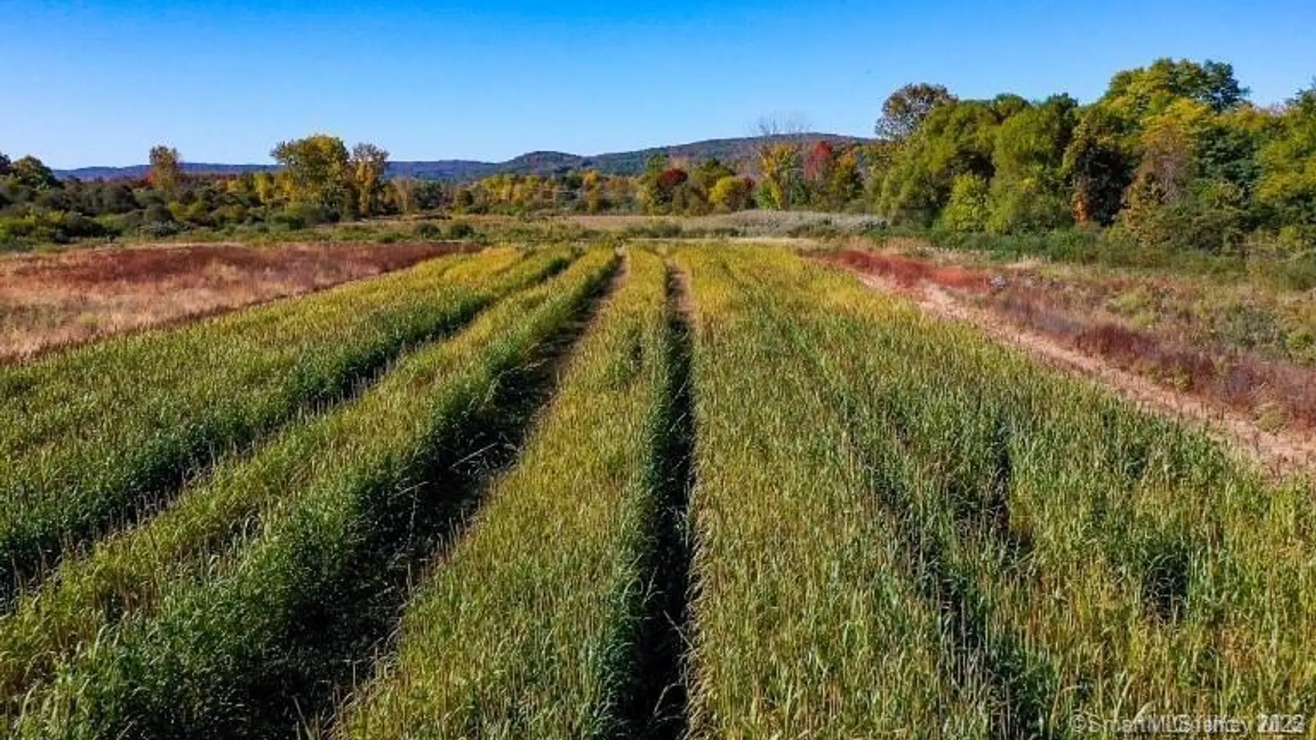 225 Route 22 Photo 6