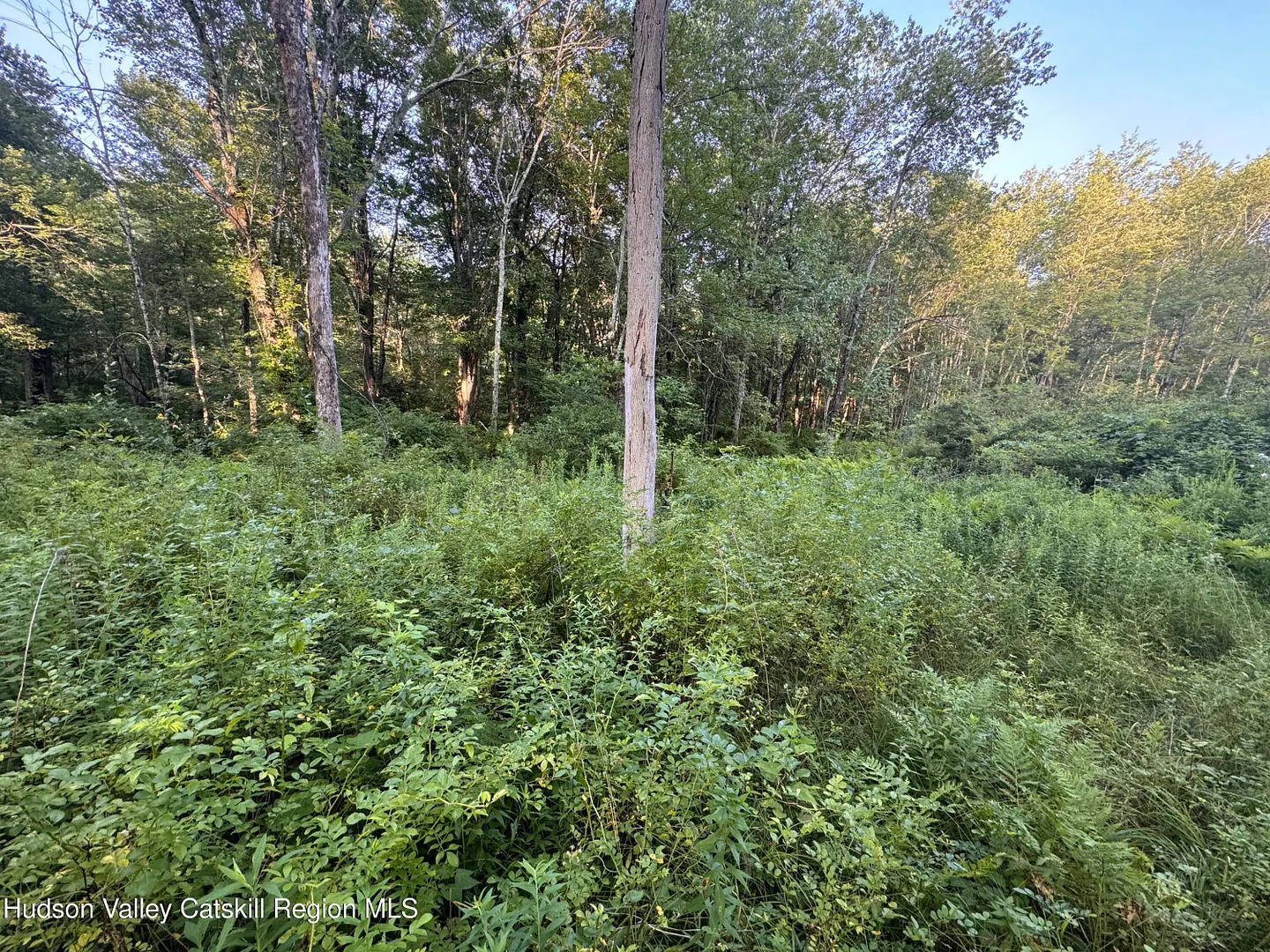 Lot 2 Snydertown Road Photo 22
