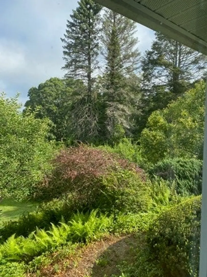 61 Arnold Rd Photo 27