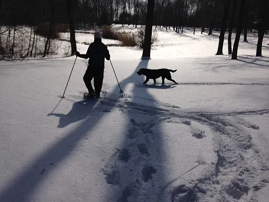 Diane Stevens photo 5