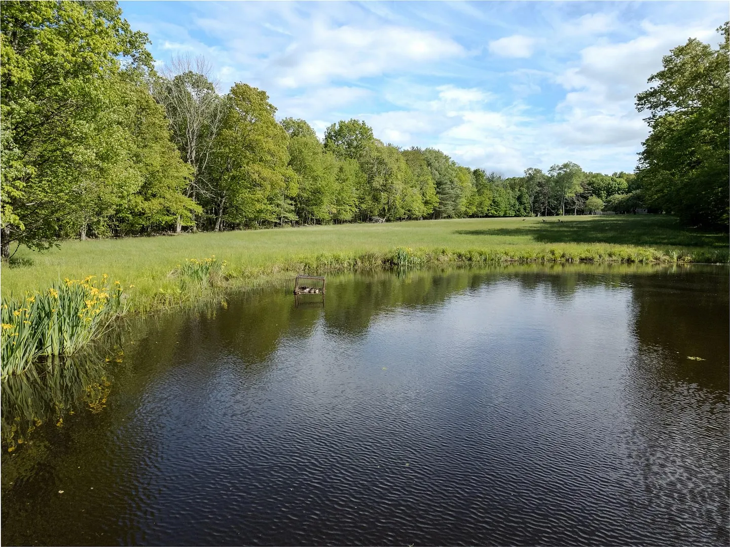 763 County Road 114 Photo 9