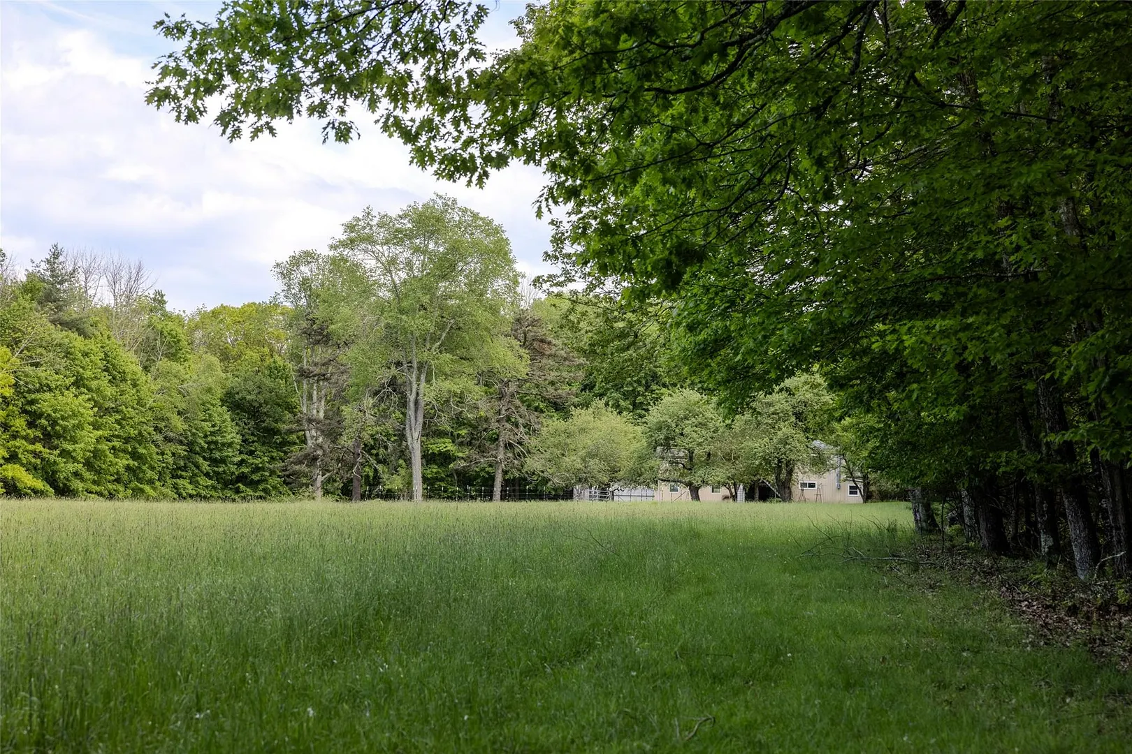 763 County Road 114 Photo 14