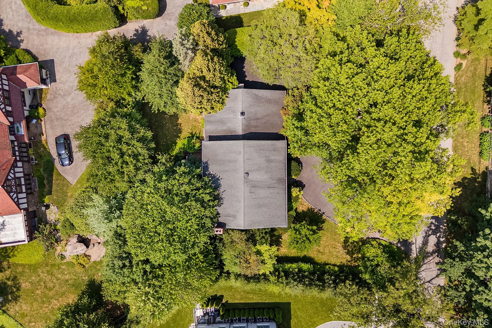 19 Carlton Road Photo 41