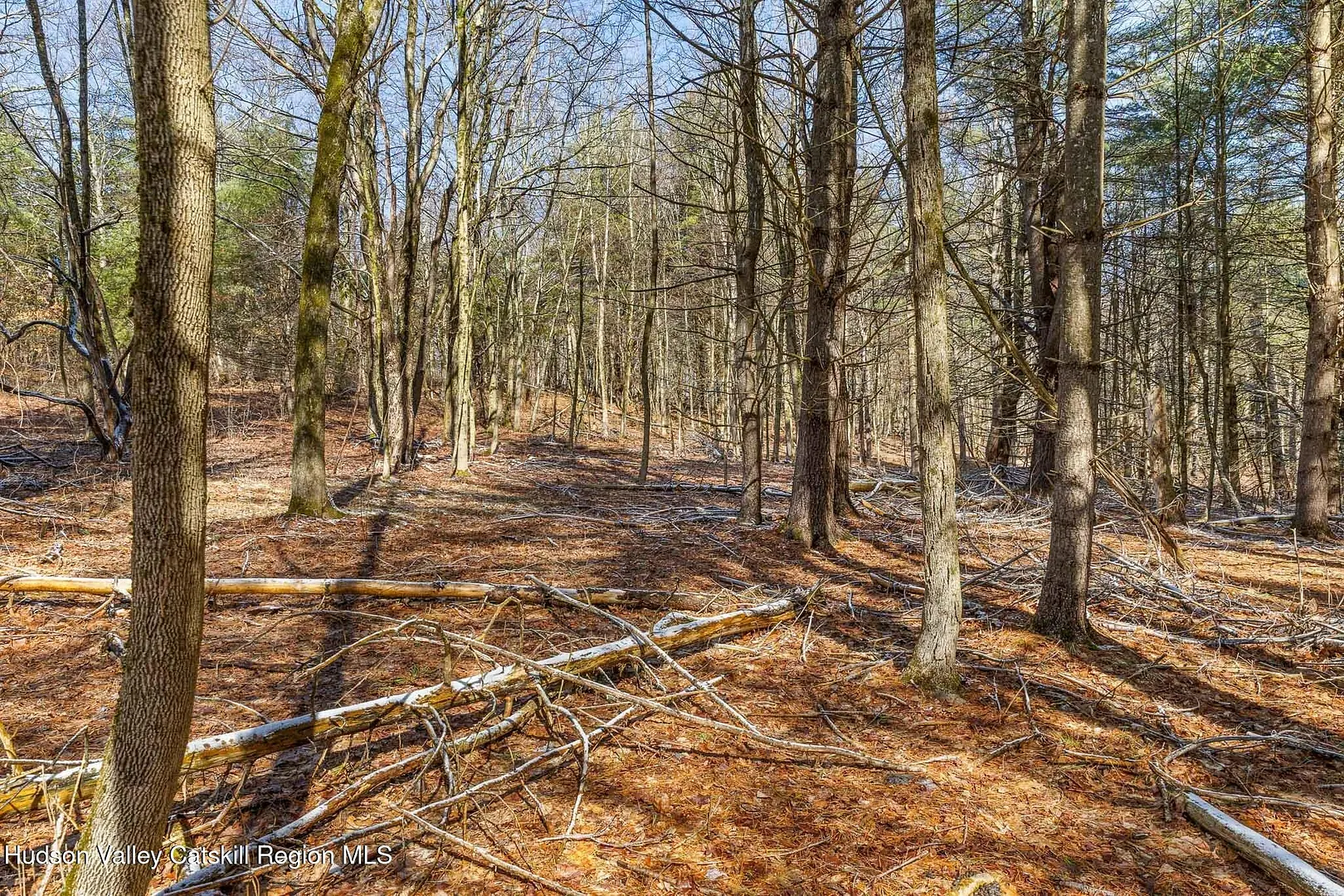 Lot 2 Snydertown Road Photo 10