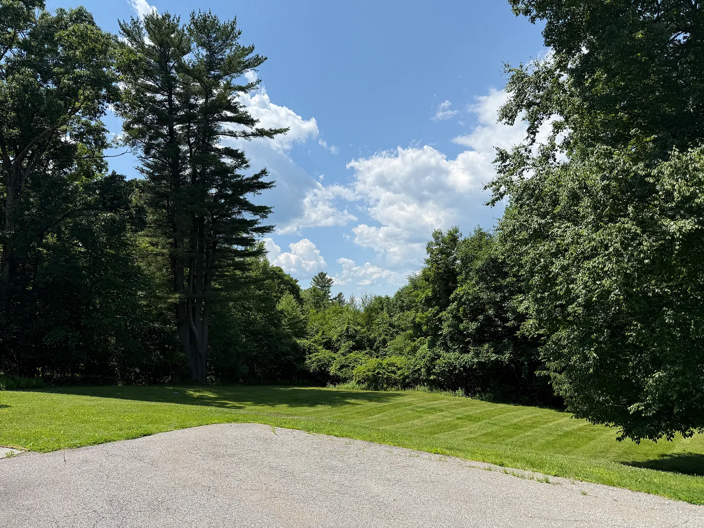 37 Woodruff Lane Photo 34