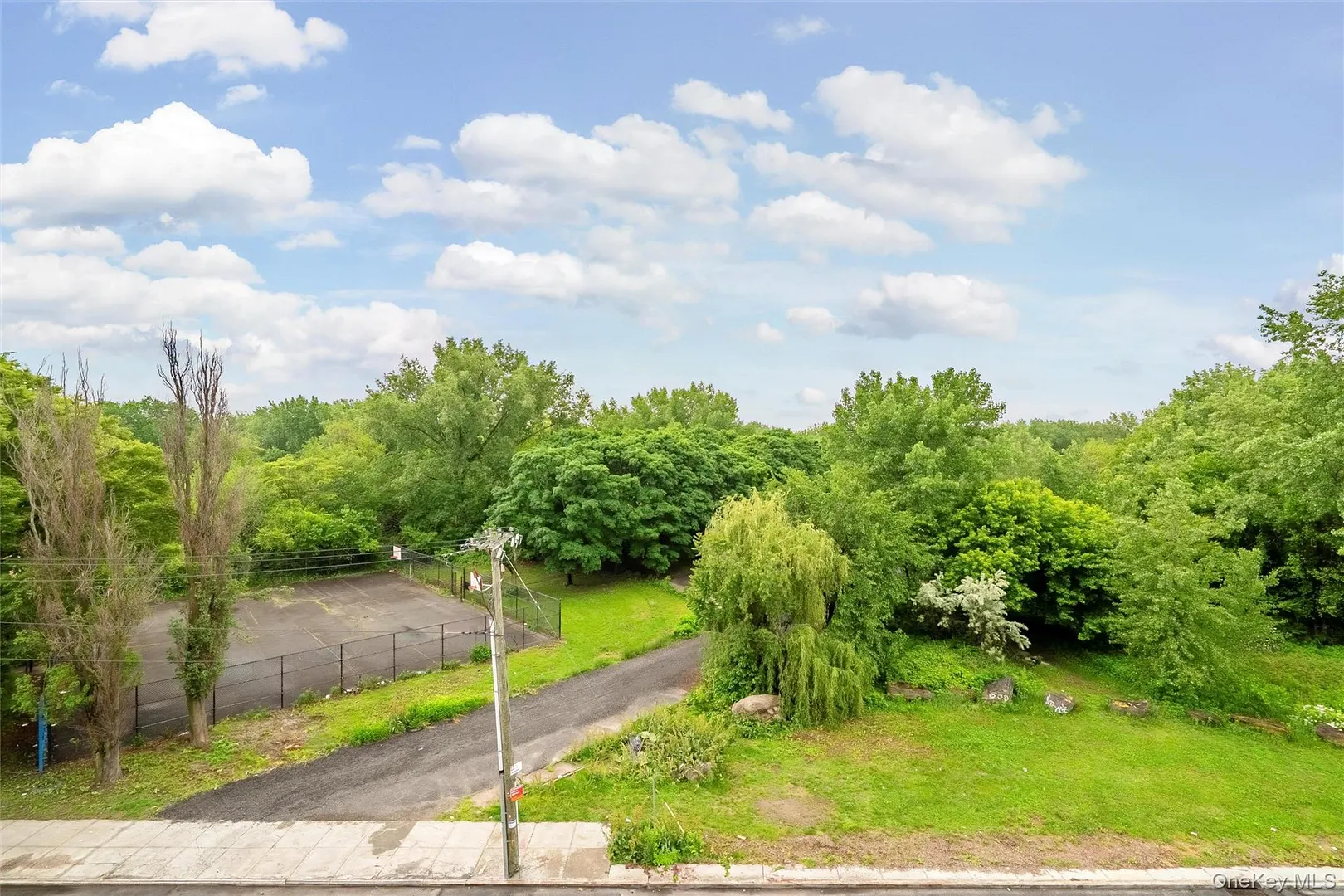 355 Bronx River Avenue  #1B Photo 24