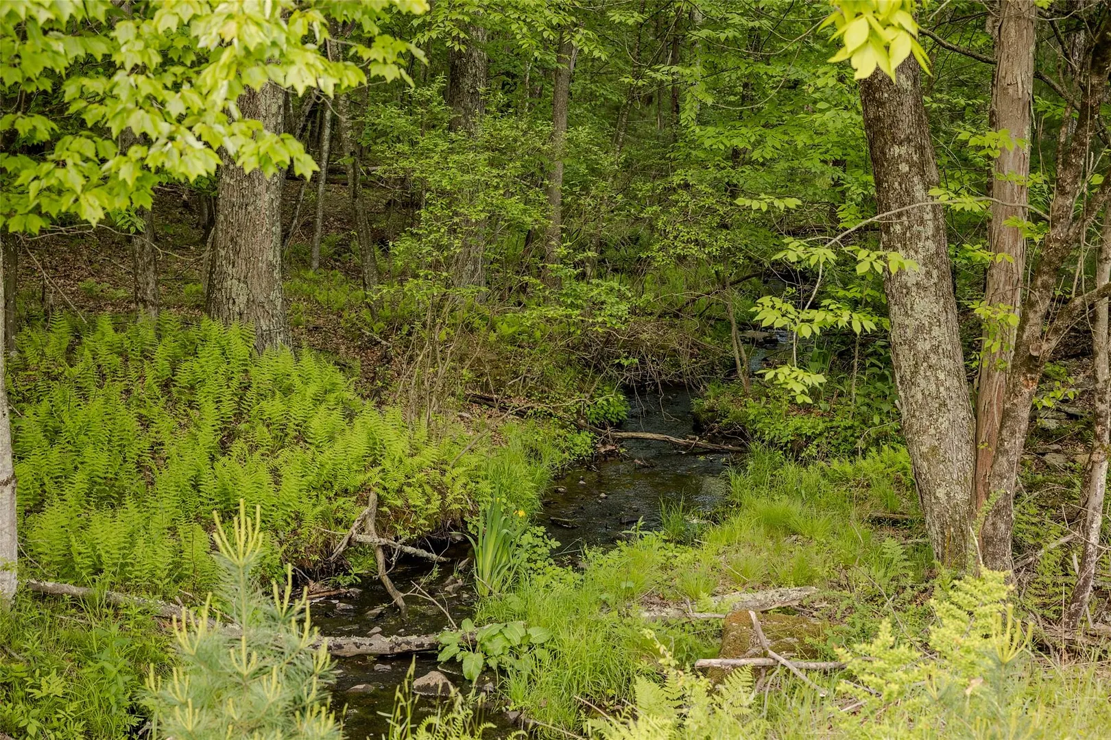 763 County Road 114 Photo 13