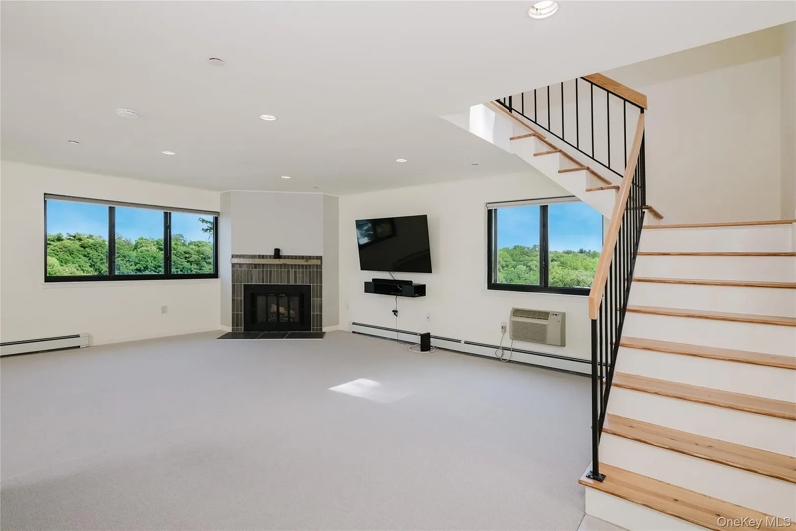 50 Dekalb Avenue  #E10 Photo 8