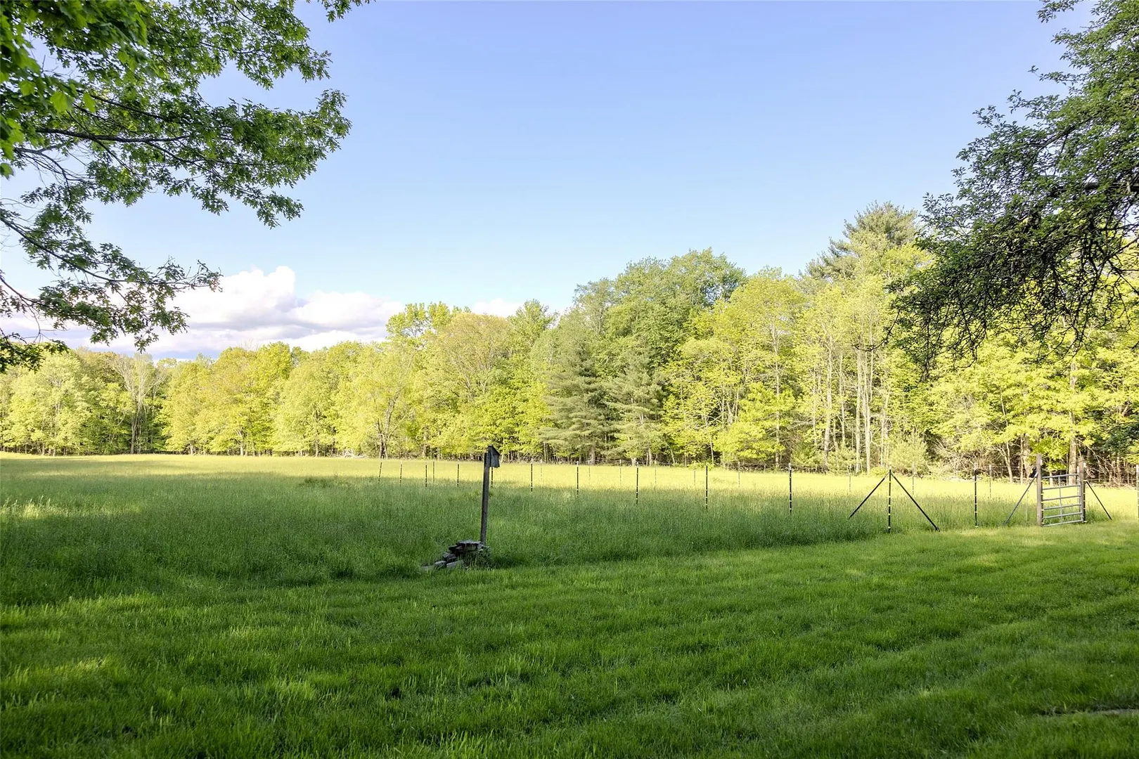 763 County Road 114 Photo 21