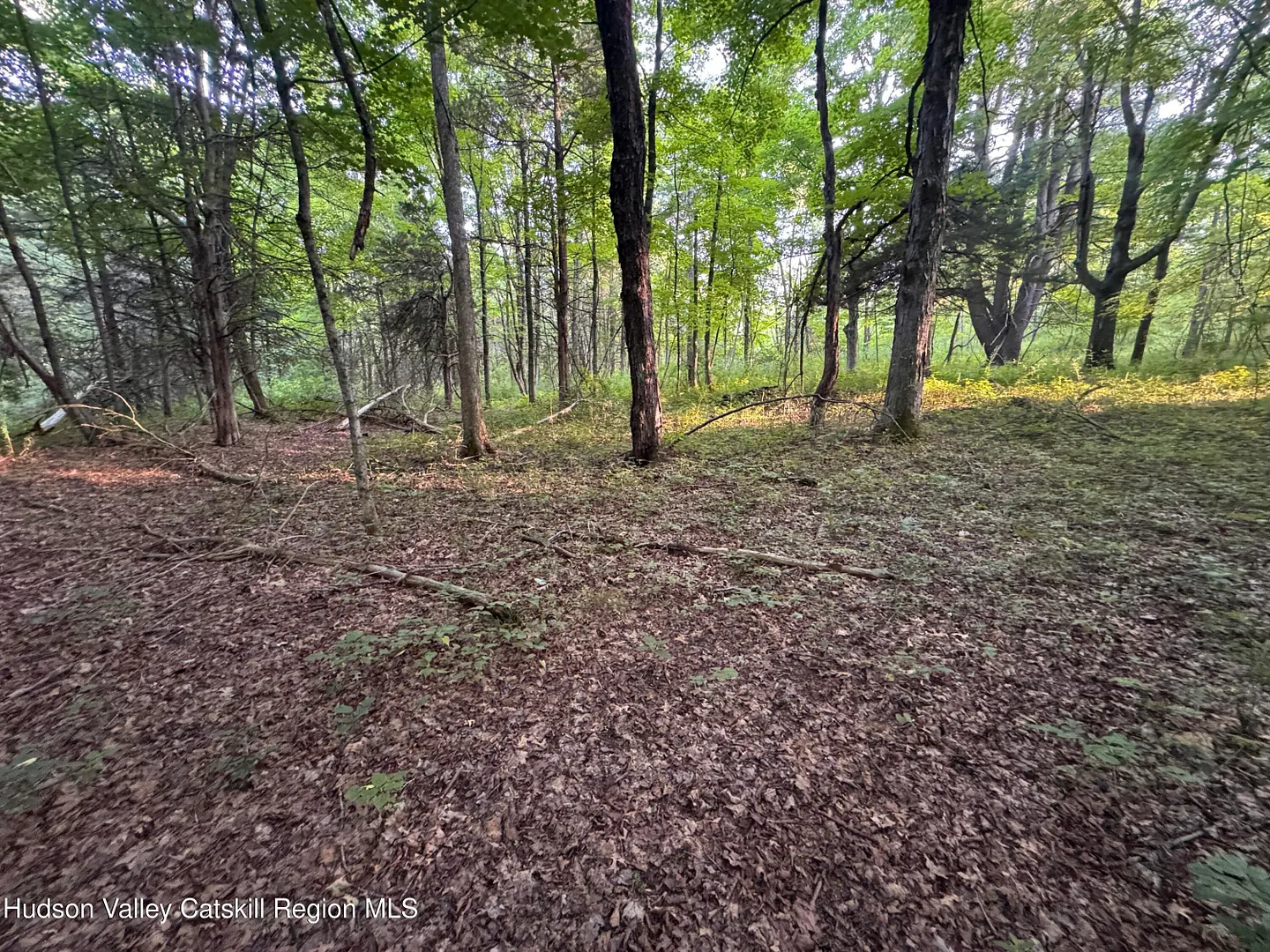 Lot 2 Snydertown Road Photo 13