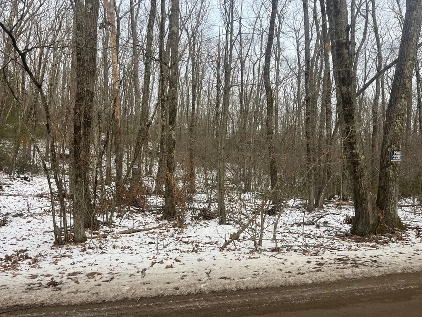 45b Irish Lane Photo 6