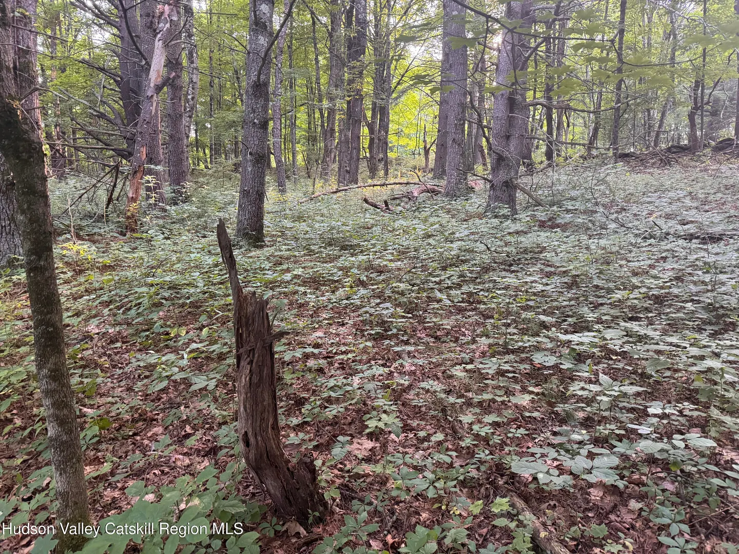 Lot 2 Snydertown Road Photo 15