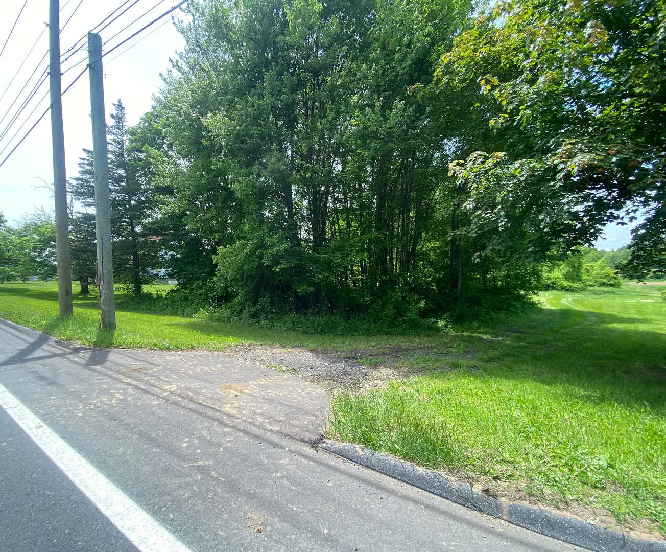 Hickory Street Photo 2