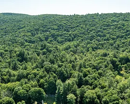 00 Great Hollow Road