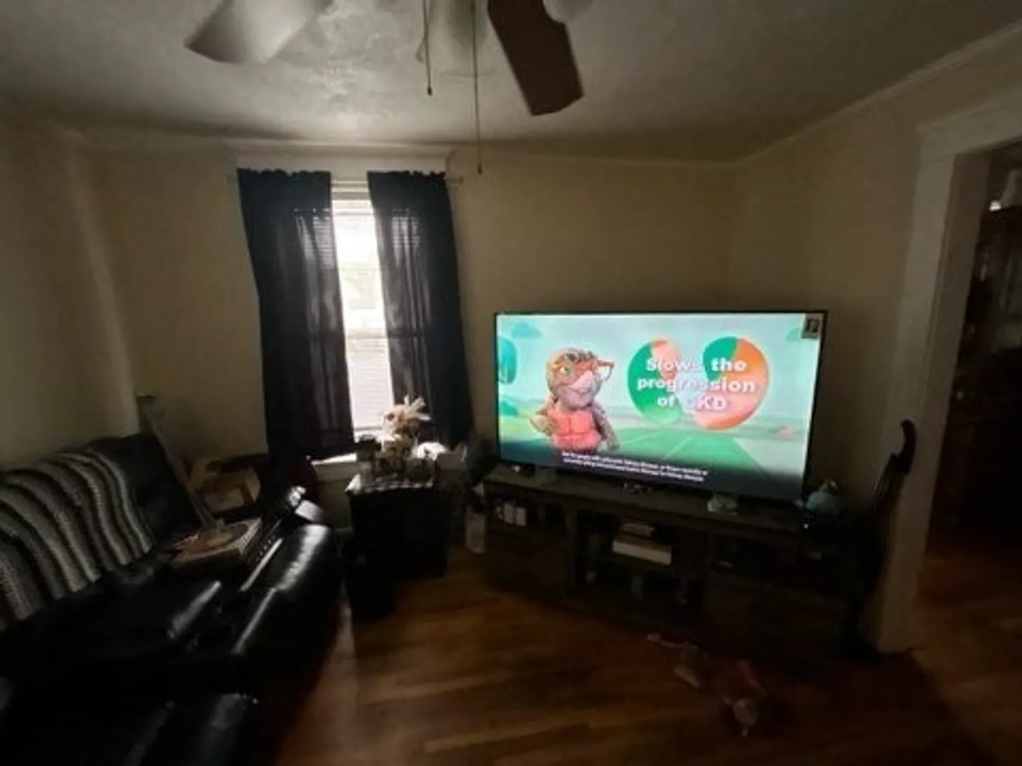 17 Archer Avenue Photo 6
