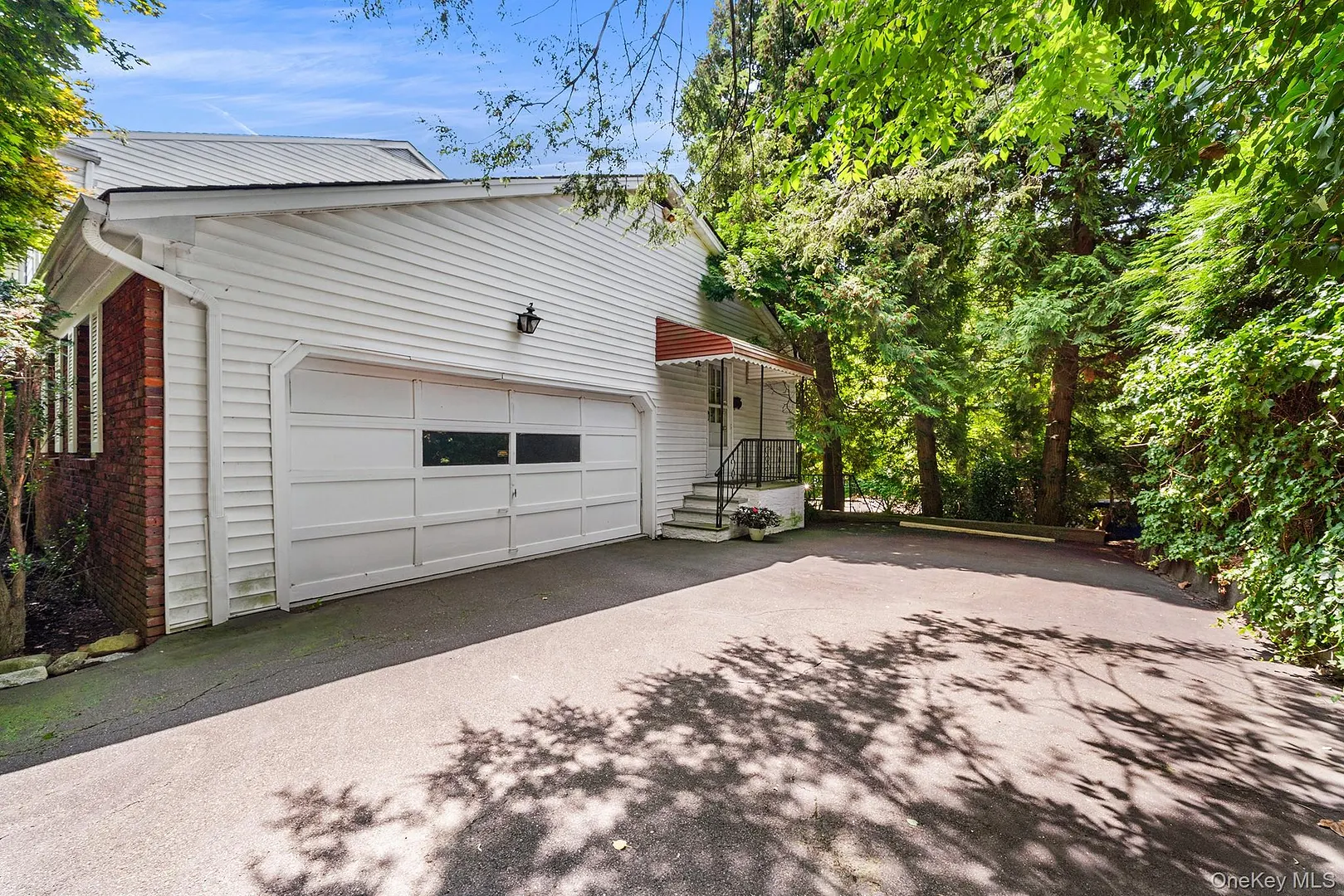 19 Carlton Road Photo 5
