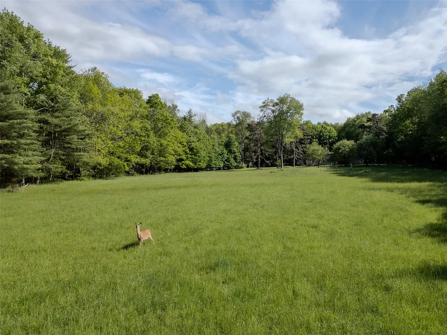 763 County Road 114 Photo 17
