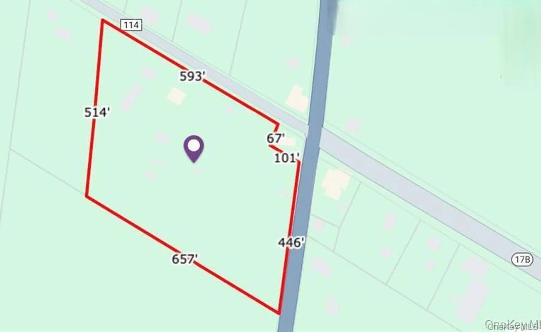 1166 County Road 114 Photo 8
