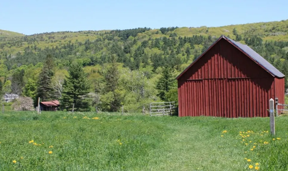 Tyringham>