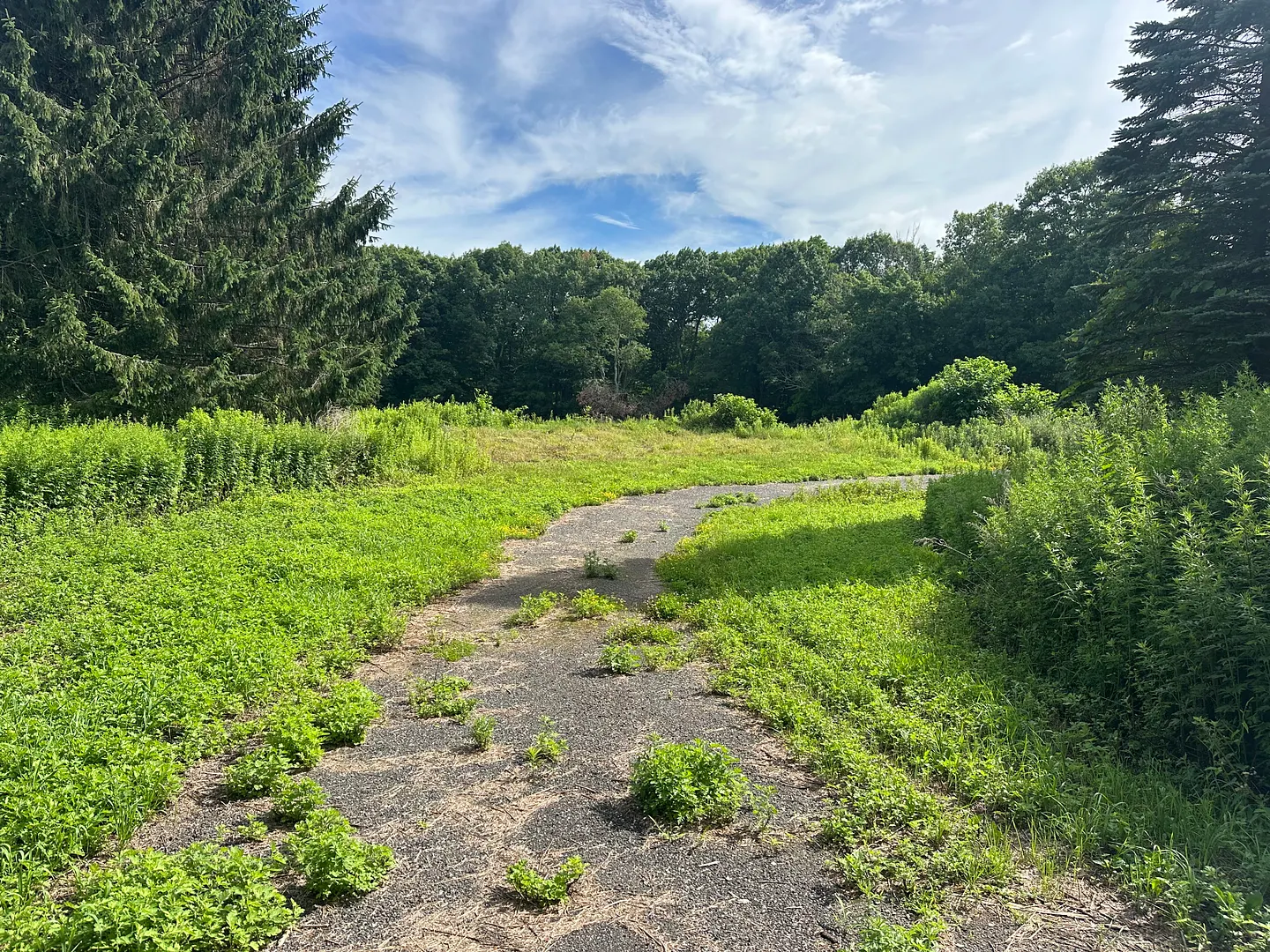 Morris Land Photo 5