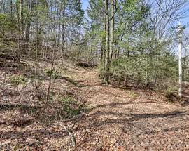8 Hemlock Rd