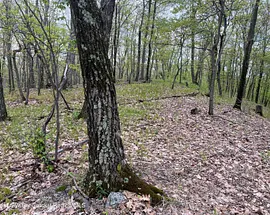 Tbd Cold Spring Road