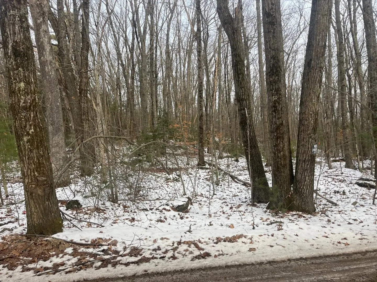 45b Irish Lane Photo 7