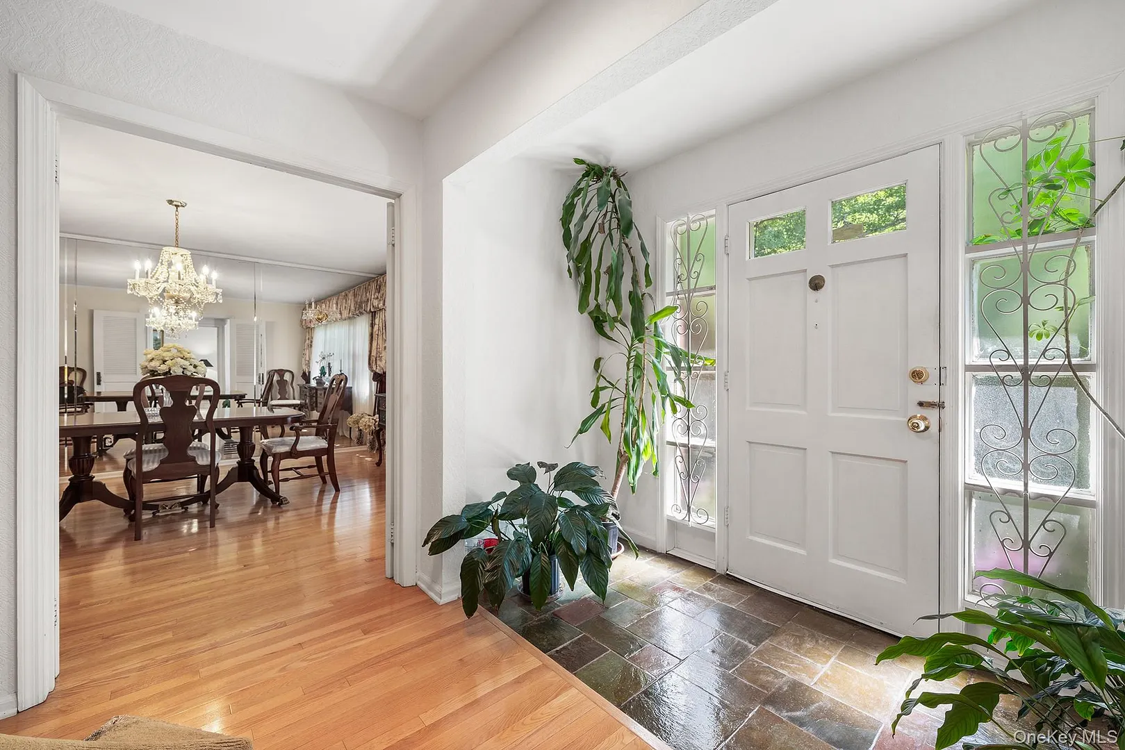 19 Carlton Road Photo 6