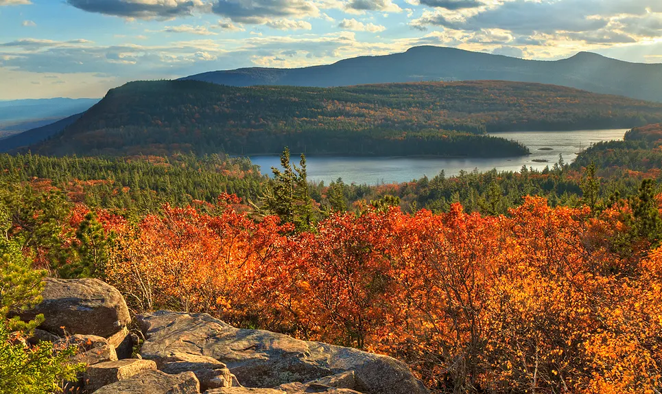 Windham>