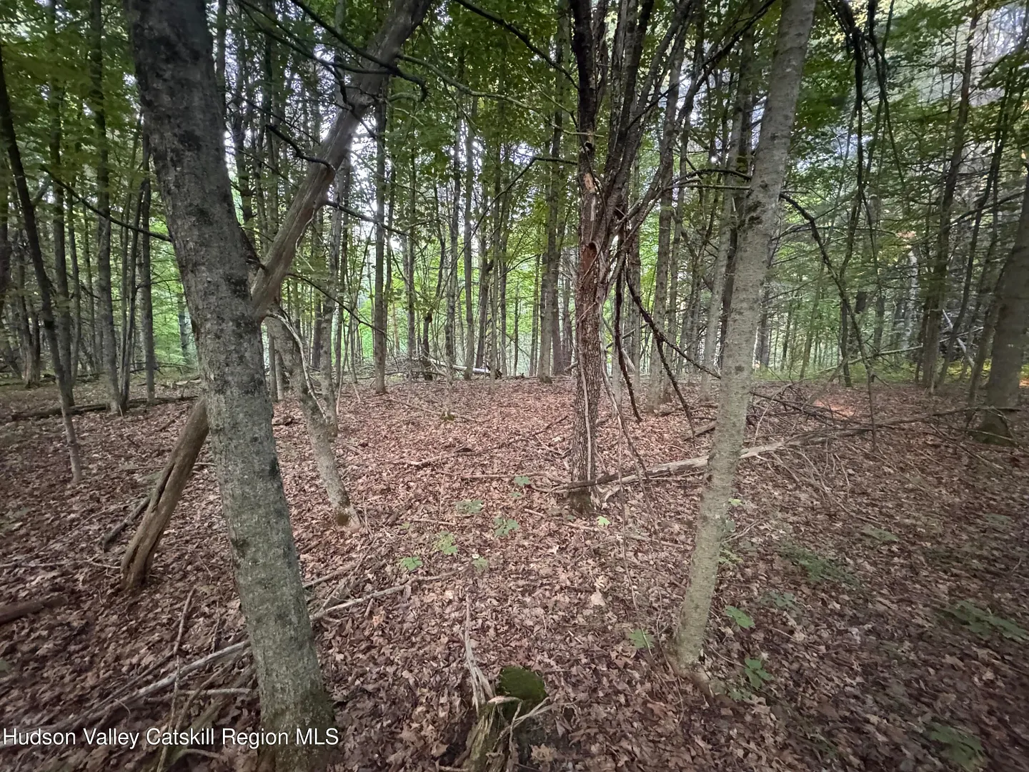 Lot 2 Snydertown Road Photo 12