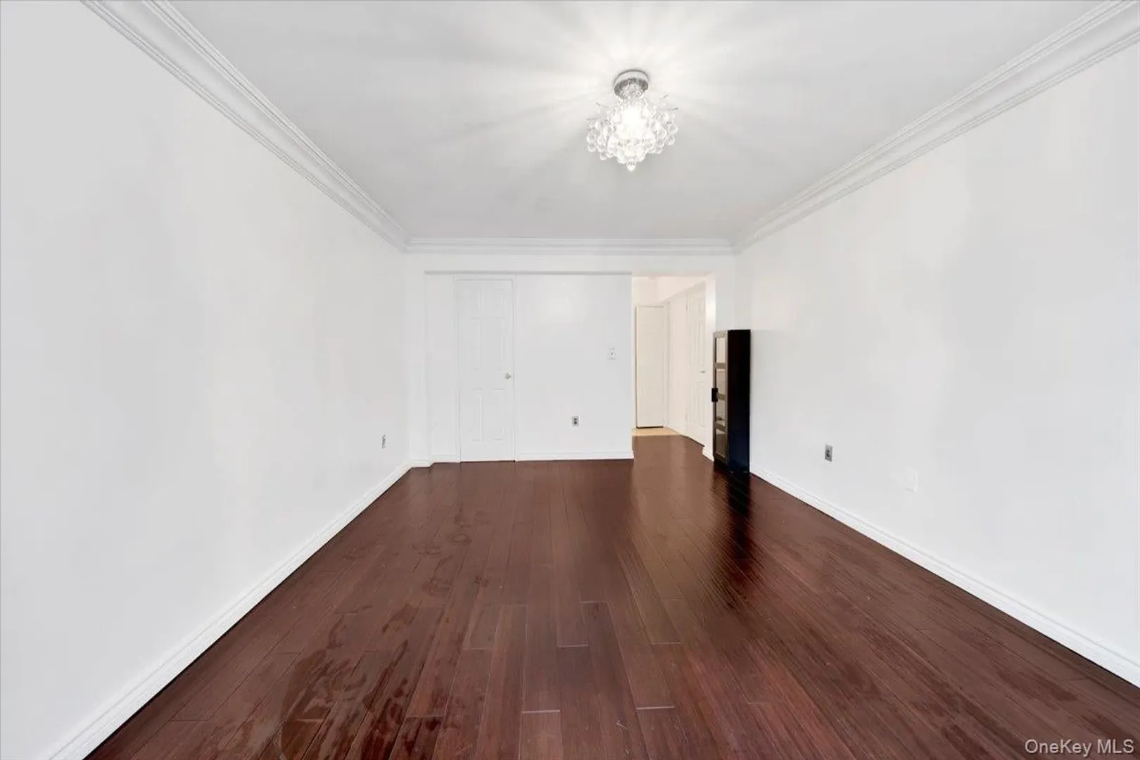 1 Balint Drive  #366 Photo 21