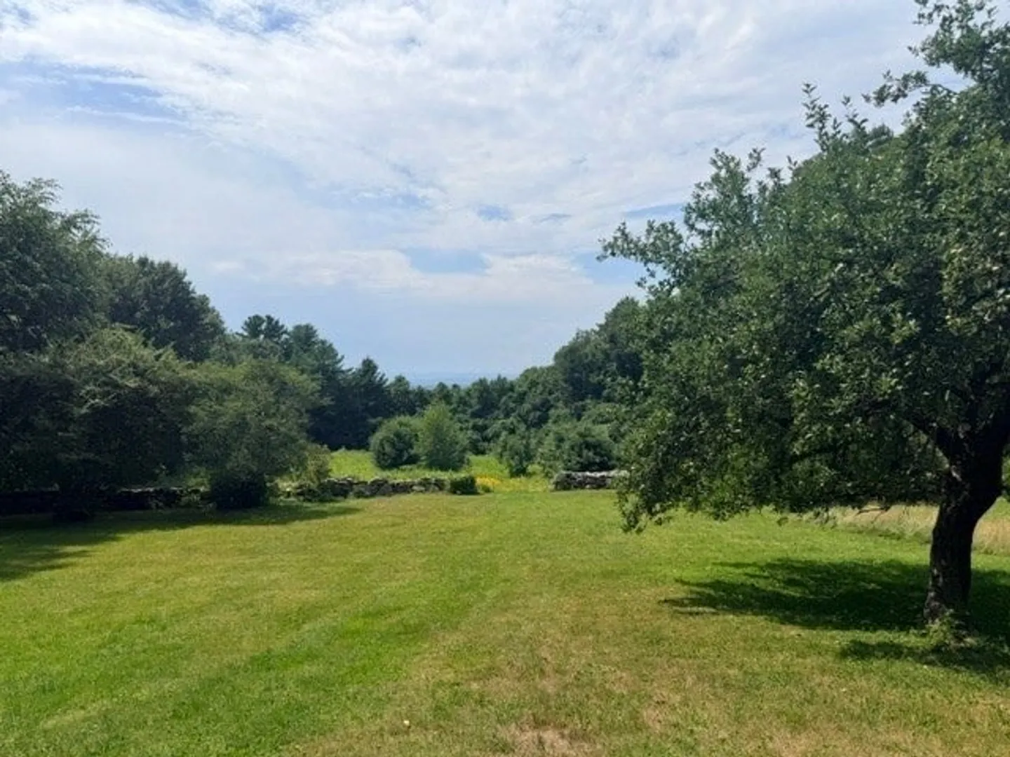 61 Arnold Rd Photo 25