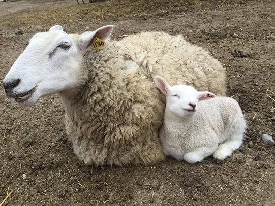 Elvia Gignoux photo 6