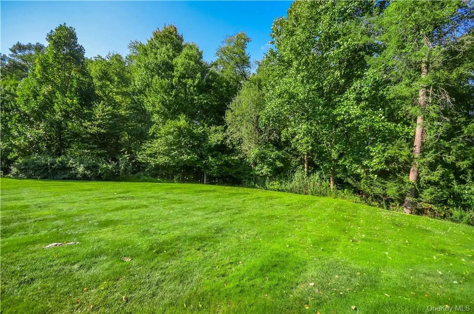 6 Hunting Trail Photo 30