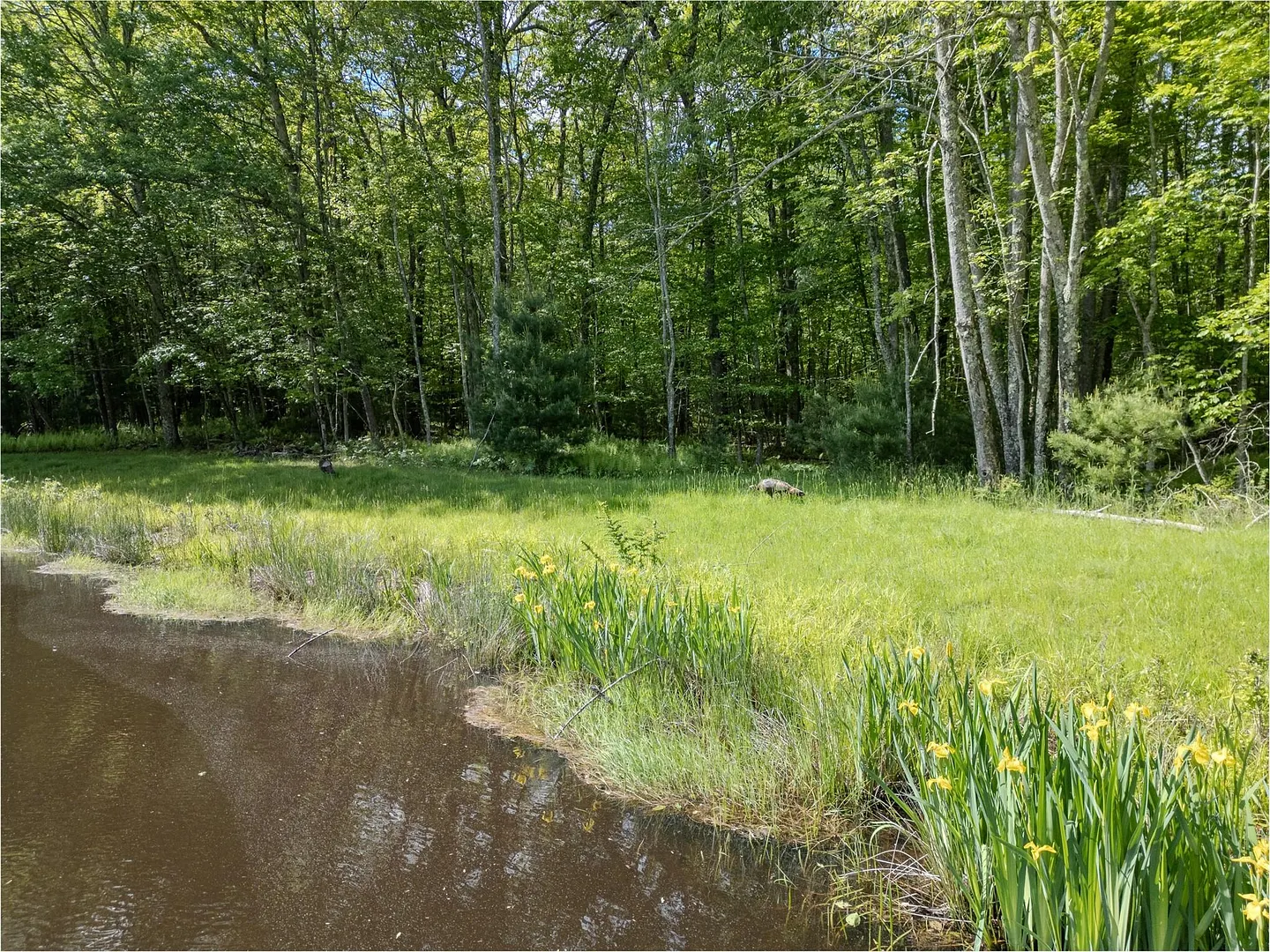 763 County Road 114 Photo 8