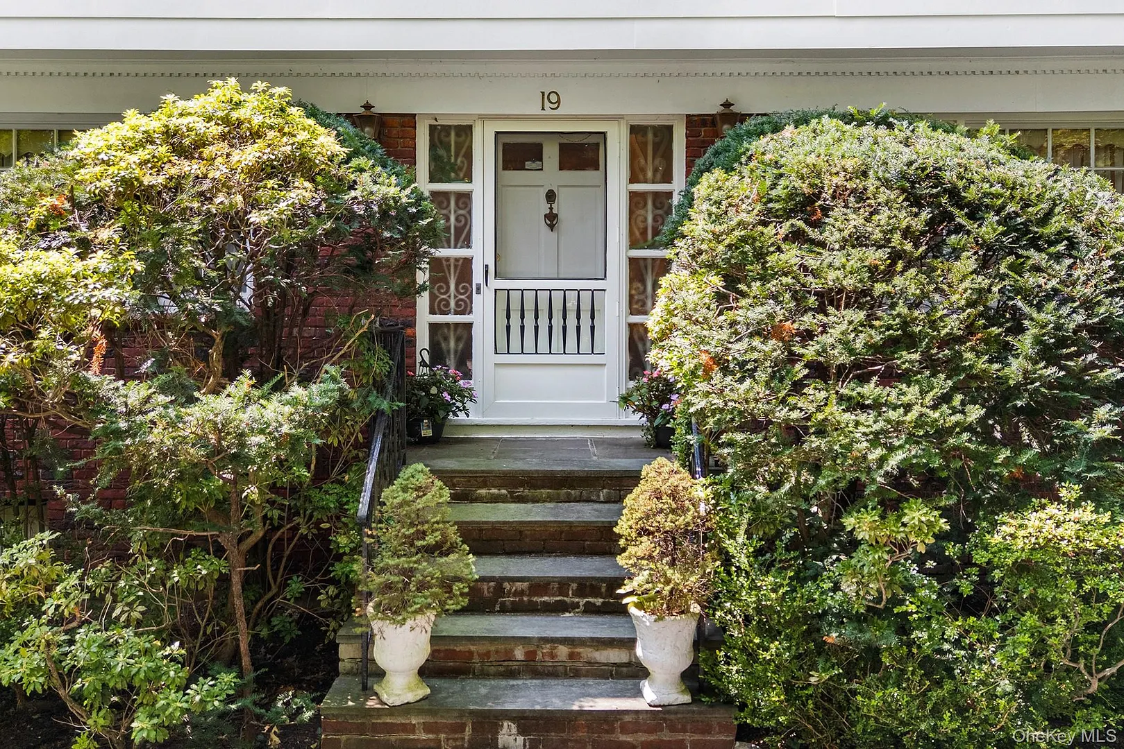 19 Carlton Road Photo 2