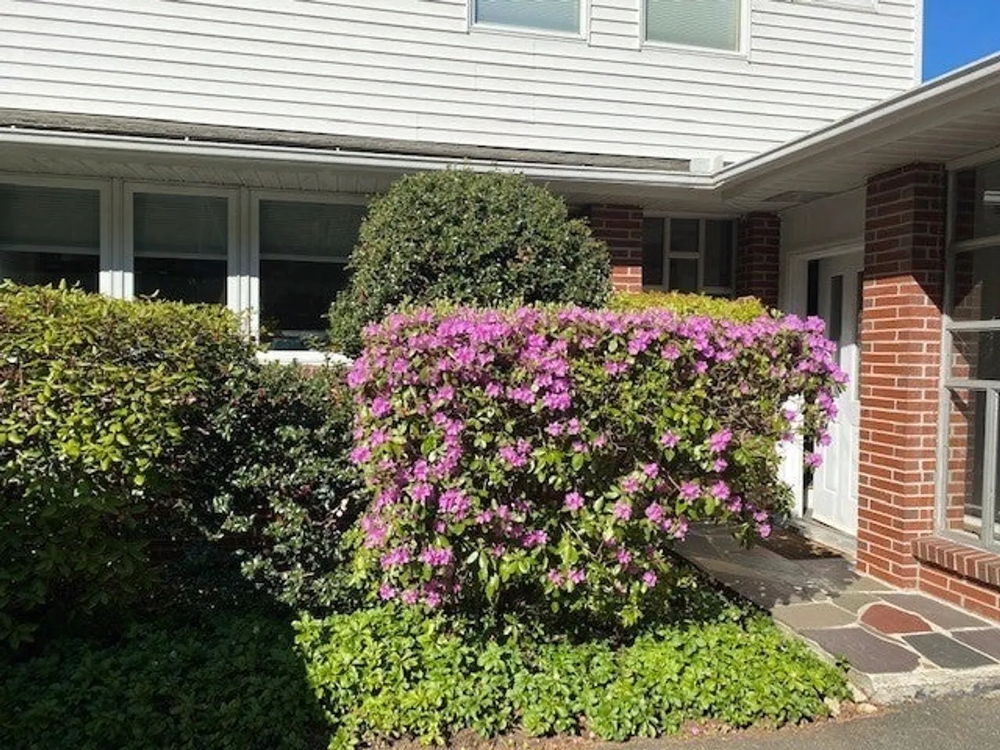 61 Arnold Rd Photo 36