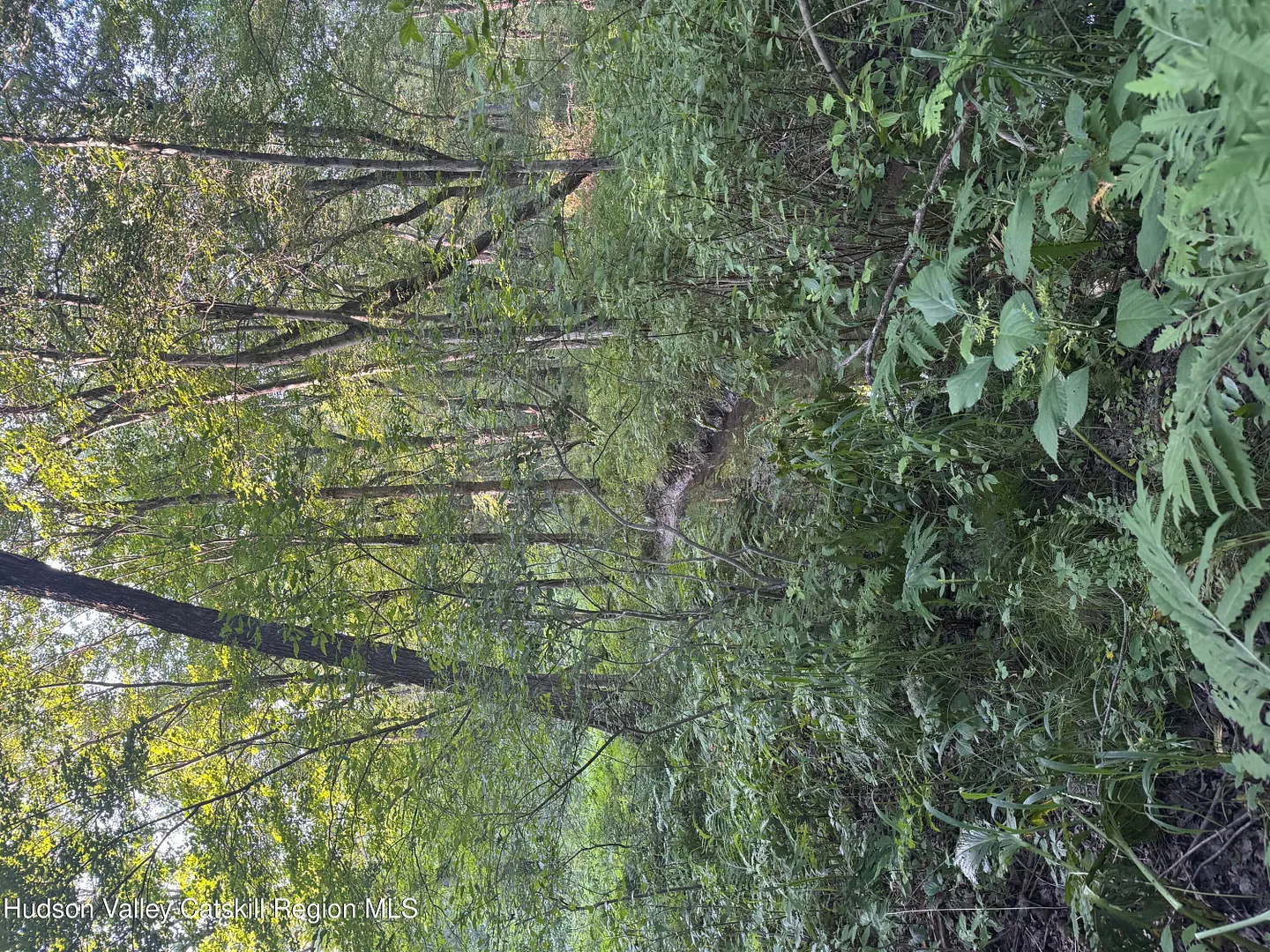 Lot 2 Snydertown Road Photo 20