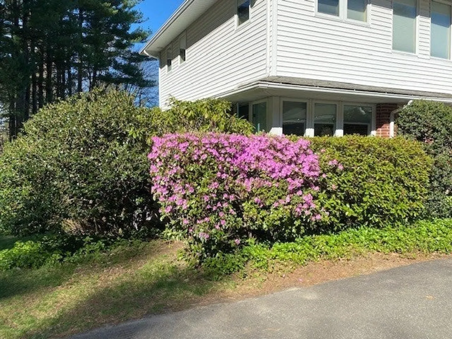 61 Arnold Rd Photo 38