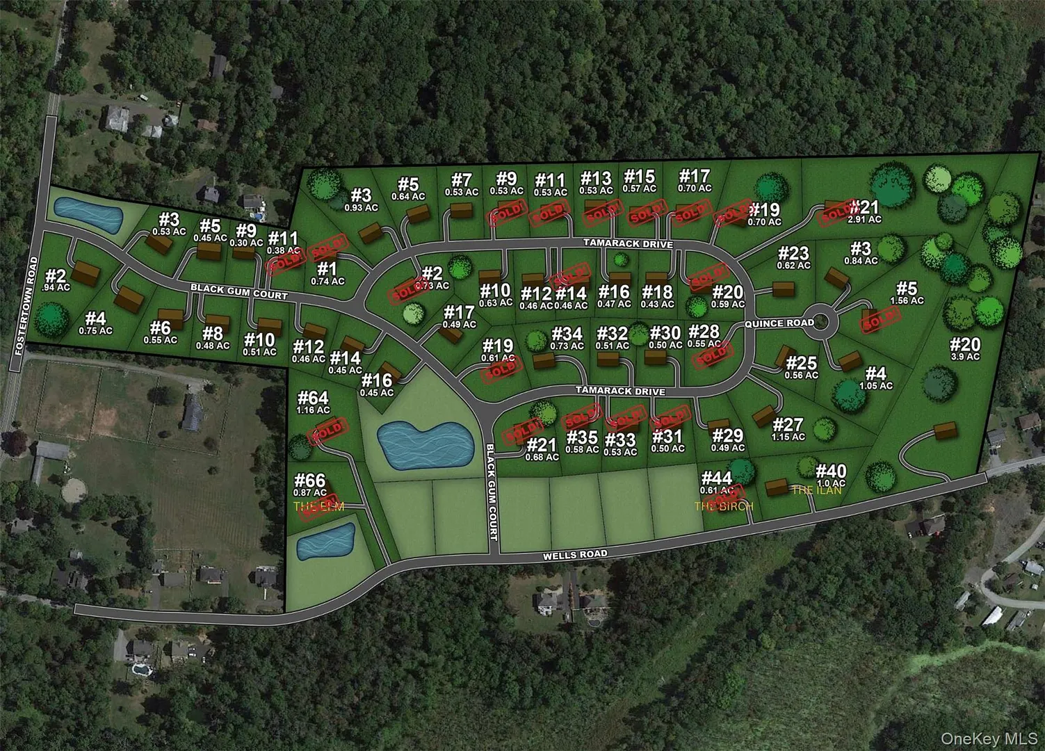 25 Tamarack Drive Photo 8