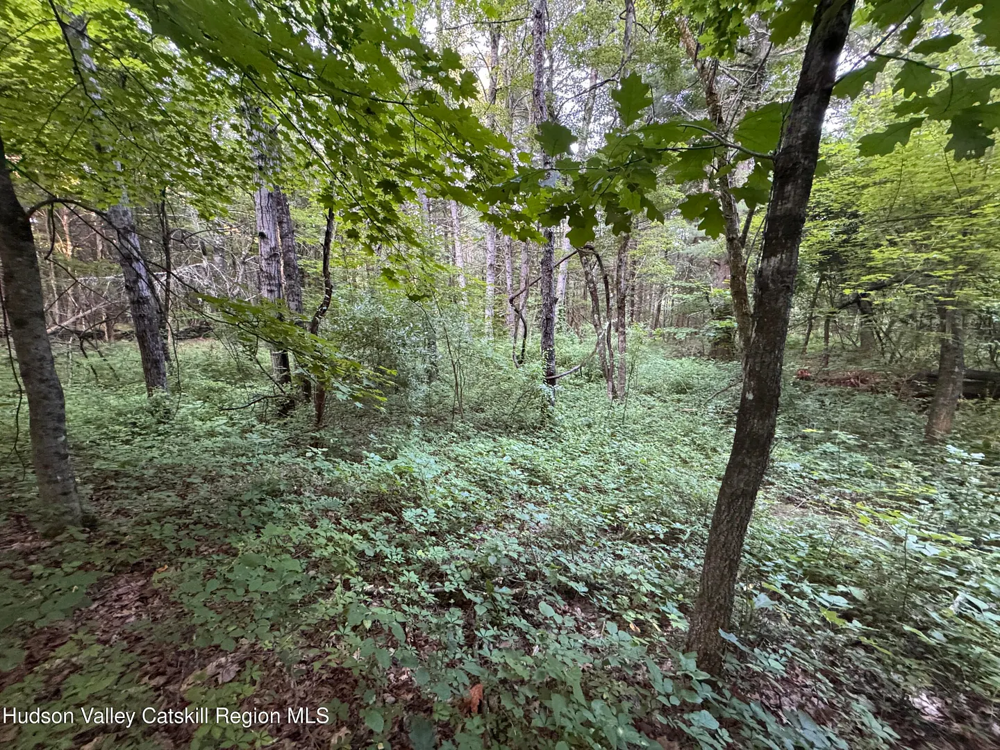 Lot 2 Snydertown Road Photo 14