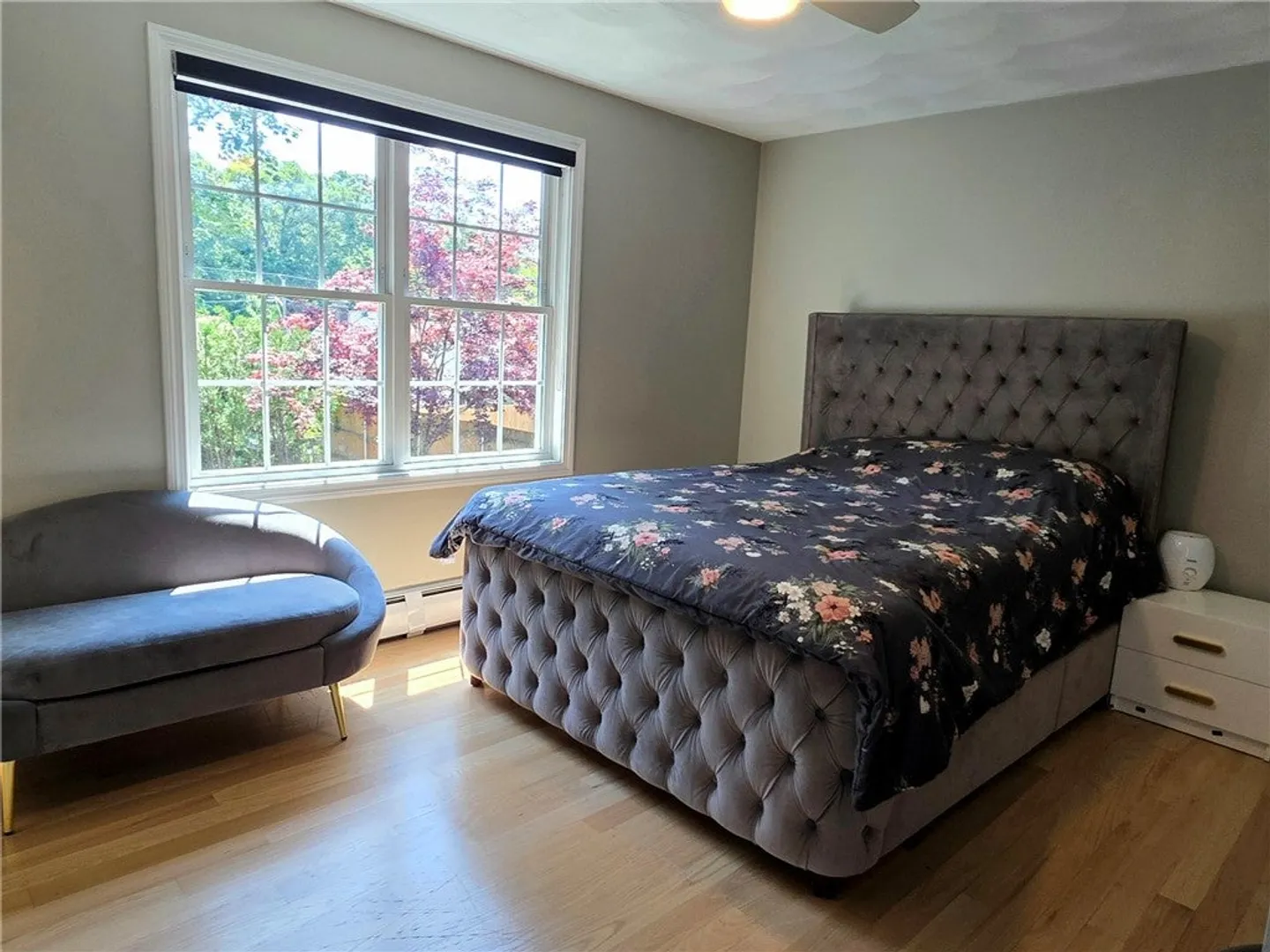 53 Herbert Street Photo 17