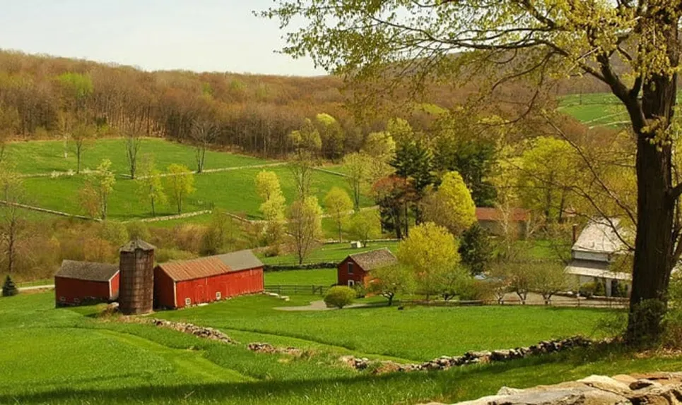 Litchfield>