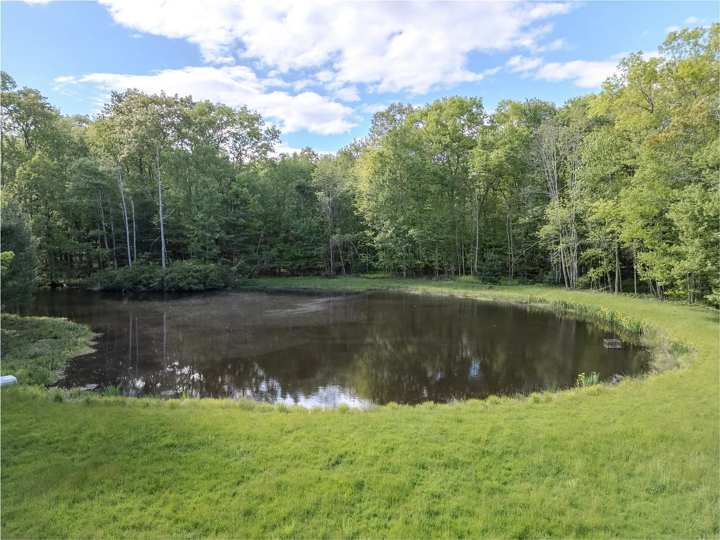 763 County Road 114 Photo 7